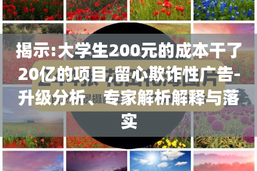 揭示:大學(xué)生200元的成本干了20億的項(xiàng)目,留心欺詐性廣告-升級(jí)分析、專家解析解釋與落實(shí)