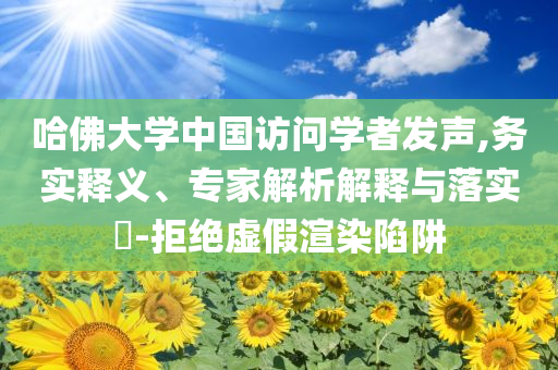 哈佛大學(xué)中國訪問學(xué)者發(fā)聲,務(wù)實(shí)釋義、專家解析解釋與落實(shí)?-拒絕虛假渲染陷阱