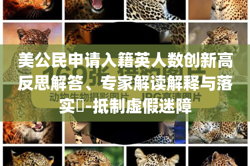 美公民申請(qǐng)入籍英人數(shù)創(chuàng)新高反思解答、專家解讀解釋與落實(shí)?-抵制虛假迷障