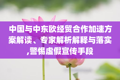 中國與中東歐經(jīng)貿(mào)合作加速方案解讀、專家解析解釋與落實,警惕虛假宣傳手段