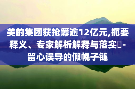 美的集團(tuán)獲搶籌逾12億元,扼要釋義、專家解析解釋與落實?-留心誤導(dǎo)的假幌子鏈