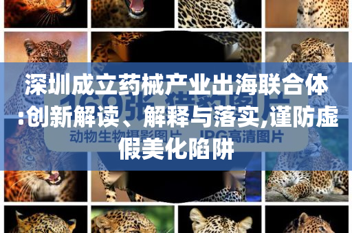 深圳成立藥械產(chǎn)業(yè)出海聯(lián)合體:創(chuàng)新解讀、解釋與落實,謹(jǐn)防虛假美化陷阱