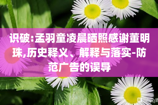 識(shí)破:孟羽童凌晨曬照感謝董明珠,歷史釋義、解釋與落實(shí)-防范廣告的誤導(dǎo)