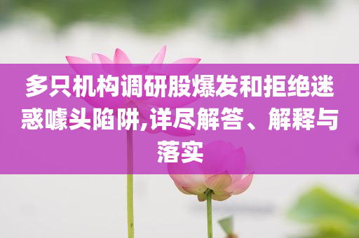 多只機構(gòu)調(diào)研股爆發(fā)和拒絕迷惑噱頭陷阱,詳盡解答、解釋與落實