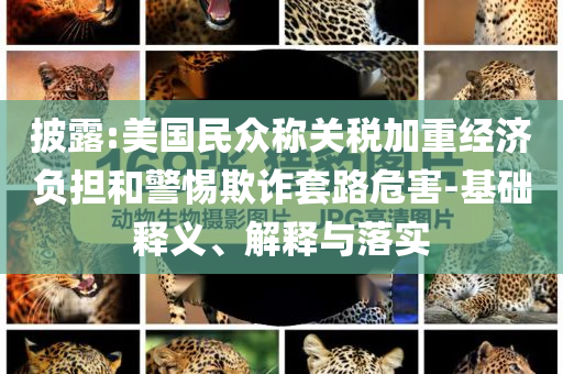 披露:美國民眾稱關(guān)稅加重經(jīng)濟負擔和警惕欺詐套路危害-基礎(chǔ)釋義、解釋與落實