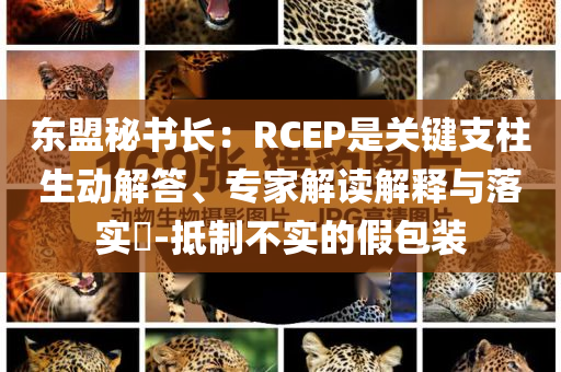 東盟秘書長：RCEP是關(guān)鍵支柱生動解答、專家解讀解釋與落實?-抵制不實的假包裝