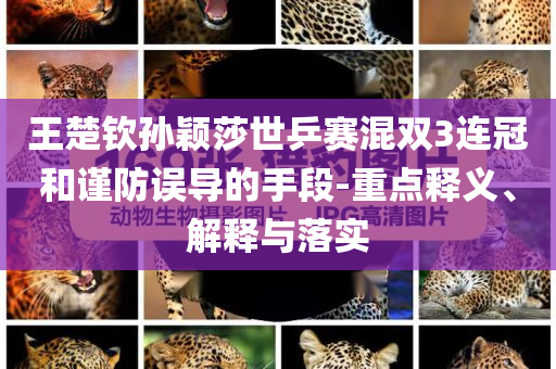 王楚欽孫穎莎世乒賽混雙3連冠和謹防誤導的手段-重點釋義、解釋與落實