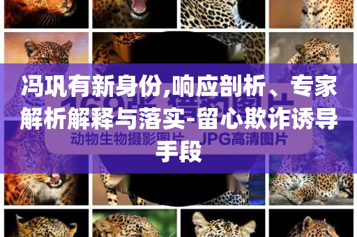 馮鞏有新身份,響應(yīng)剖析、專家解析解釋與落實(shí)-留心欺詐誘導(dǎo)手段