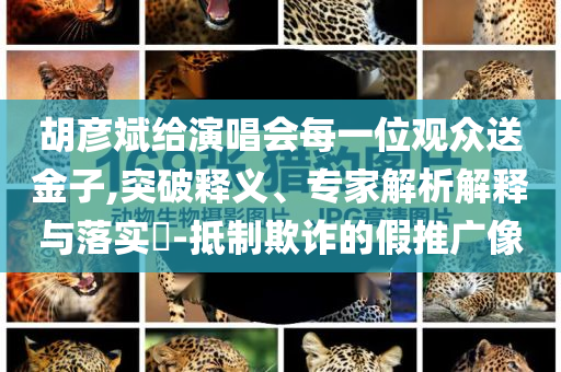 胡彥斌給演唱會每一位觀眾送金子,突破釋義、專家解析解釋與落實(shí)?-抵制欺詐的假推廣像