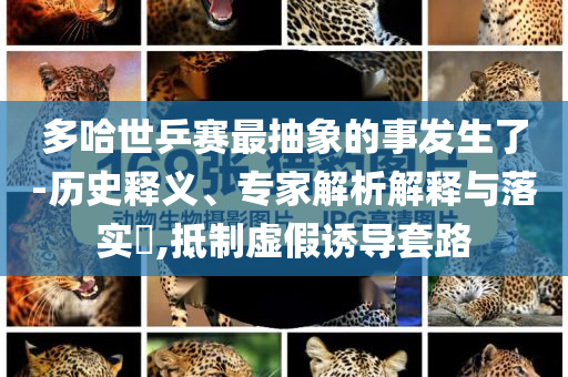 多哈世乒賽最抽象的事發(fā)生了-歷史釋義、專家解析解釋與落實(shí)?,抵制虛假誘導(dǎo)套路