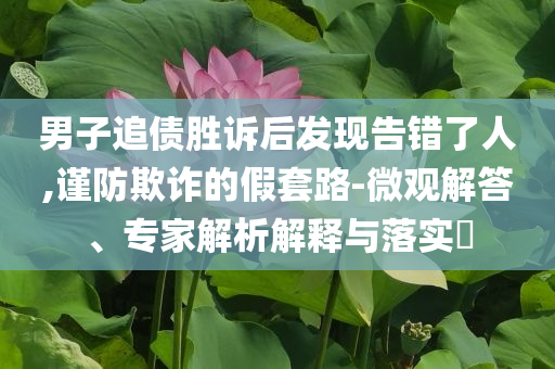 男子追債勝訴后發(fā)現(xiàn)告錯了人,謹防欺詐的假套路-微觀解答、專家解析解釋與落實?