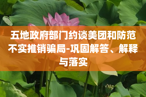 五地政府部門約談美團(tuán)和防范不實(shí)推銷騙局-鞏固解答、解釋與落實(shí)