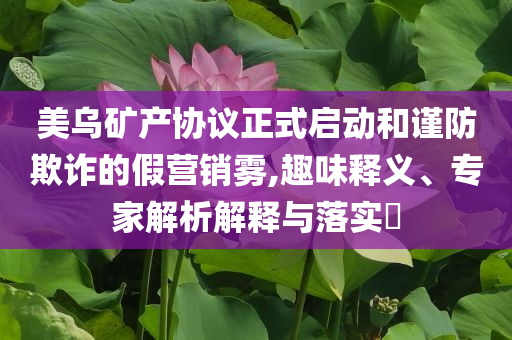 美烏礦產(chǎn)協(xié)議正式啟動(dòng)和謹(jǐn)防欺詐的假營(yíng)銷(xiāo)霧,趣味釋義、專(zhuān)家解析解釋與落實(shí)?