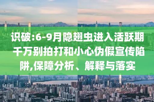 識(shí)破:6-9月隱翅蟲(chóng)進(jìn)入活躍期 千萬(wàn)別拍打和小心偽假宣傳陷阱,保障分析、解釋與落實(shí)