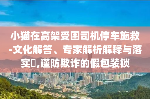 小貓?jiān)诟呒苁芾緳C(jī)停車施救-文化解答、專家解析解釋與落實(shí)?,謹(jǐn)防欺詐的假包裝鎖