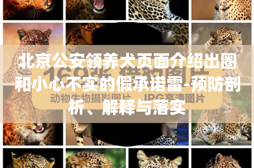 北京公安領(lǐng)養(yǎng)犬頁(yè)面介紹出圈和小心不實(shí)的假承諾雷-預(yù)防剖析、解釋與落實(shí)