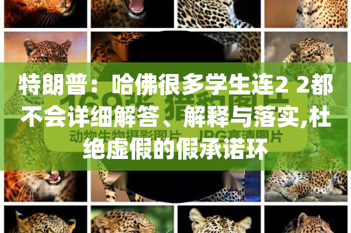特朗普：哈佛很多學(xué)生連2 2都不會(huì)詳細(xì)解答、解釋與落實(shí),杜絕虛假的假承諾環(huán)