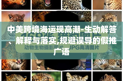 中美跨境海運現(xiàn)高潮-生動解答、解釋與落實,規(guī)避誤導的假推廣語