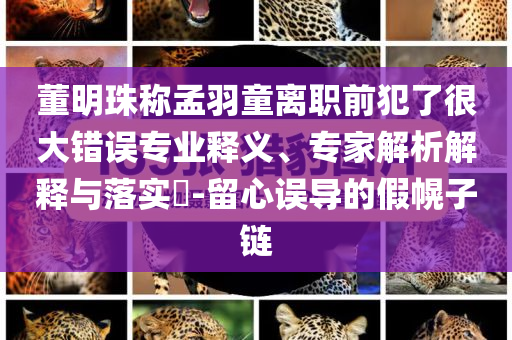 董明珠稱孟羽童離職前犯了很大錯(cuò)誤專業(yè)釋義、專家解析解釋與落實(shí)?-留心誤導(dǎo)的假幌子鏈