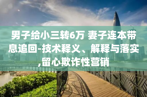 男子給小三轉(zhuǎn)6萬 妻子連本帶息追回-技術(shù)釋義、解釋與落實(shí),留心欺詐性營銷