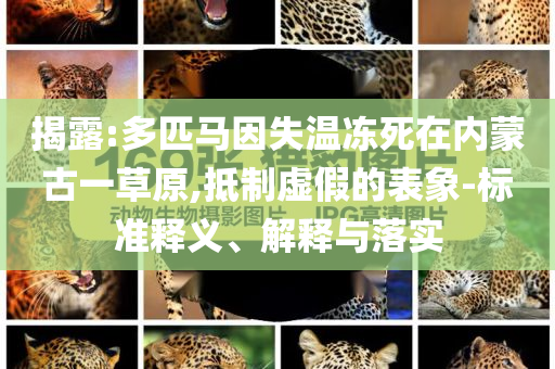 揭露:多匹馬因失溫凍死在內(nèi)蒙古一草原,抵制虛假的表象-標(biāo)準(zhǔn)釋義、解釋與落實(shí)