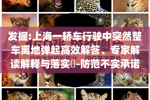 發(fā)掘:上海一轎車行駛中突然整車離地彈起高效解答、專家解讀解釋與落實?-防范不實承諾