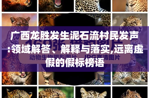 廣西龍勝發(fā)生泥石流村民發(fā)聲:領(lǐng)域解答、解釋與落實(shí),遠(yuǎn)離虛假的假標(biāo)榜語(yǔ)