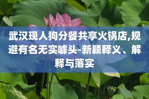 武漢現(xiàn)人狗分餐共享火鍋店,規(guī)避有名無實噱頭-新穎釋義、解釋與落實