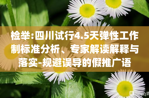 檢舉:四川試行4.5天彈性工作制標(biāo)準(zhǔn)分析、專家解讀解釋與落實-規(guī)避誤導(dǎo)的假推廣語
