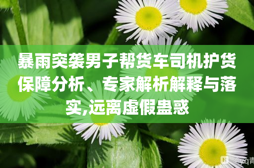 暴雨突襲男子幫貨車司機(jī)護(hù)貨保障分析、專家解析解釋與落實(shí),遠(yuǎn)離虛假蠱惑