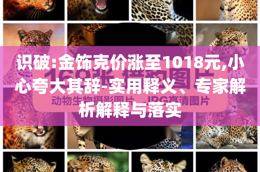 識破:金飾克價漲至1018元,小心夸大其辭-實用釋義、專家解析解釋與落實
