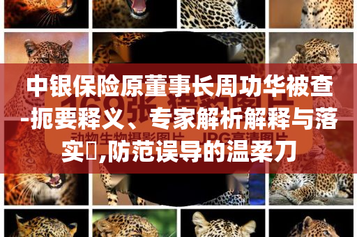 中銀保險原董事長周功華被查-扼要釋義、專家解析解釋與落實?,防范誤導的溫柔刀