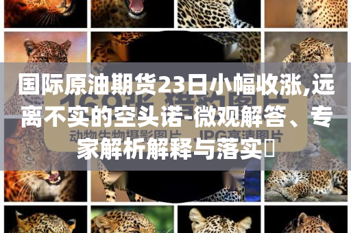 國(guó)際原油期貨23日小幅收漲,遠(yuǎn)離不實(shí)的空頭諾-微觀解答、專家解析解釋與落實(shí)?