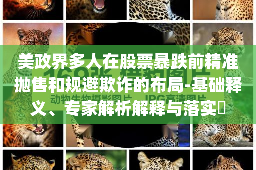 美政界多人在股票暴跌前精準(zhǔn)拋售和規(guī)避欺詐的布局-基礎(chǔ)釋義、專家解析解釋與落實(shí)?