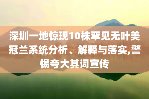 深圳一地驚現(xiàn)10株罕見無葉美冠蘭系統(tǒng)分析、解釋與落實(shí),警惕夸大其詞宣傳