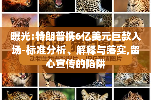 曝光:特朗普攜6億美元巨款入場(chǎng)-標(biāo)準(zhǔn)分析、解釋與落實(shí),留心宣傳的陷阱