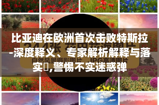 比亞迪在歐洲首次擊敗特斯拉-深度釋義、專家解析解釋與落實?,警惕不實迷惑彈