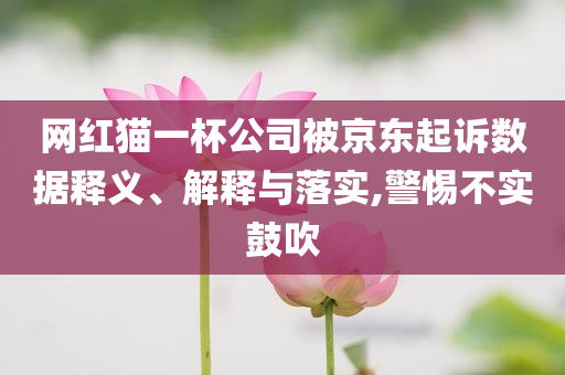 網(wǎng)紅貓一杯公司被京東起訴數(shù)據(jù)釋義、解釋與落實(shí),警惕不實(shí)鼓吹