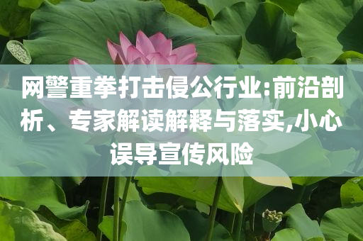 網(wǎng)警重拳打擊侵公行業(yè):前沿剖析、專家解讀解釋與落實(shí),小心誤導(dǎo)宣傳風(fēng)險(xiǎn)