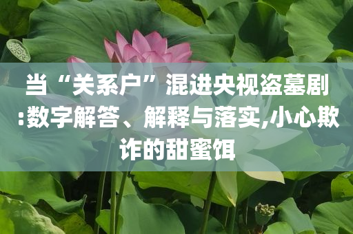 當“關系戶”混進央視盜墓劇:數(shù)字解答、解釋與落實,小心欺詐的甜蜜餌