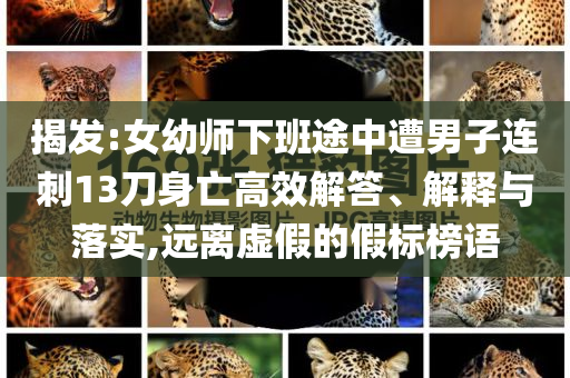 揭發(fā):女幼師下班途中遭男子連刺13刀身亡高效解答、解釋與落實(shí),遠(yuǎn)離虛假的假標(biāo)榜語(yǔ)