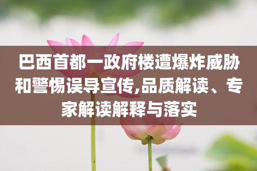 巴西首都一政府樓遭爆炸威脅和警惕誤導(dǎo)宣傳,品質(zhì)解讀、專家解讀解釋與落實(shí)