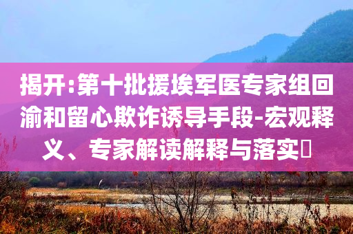 揭開:第十批援埃軍醫(yī)專家組回渝和留心欺詐誘導(dǎo)手段-宏觀釋義、專家解讀解釋與落實?