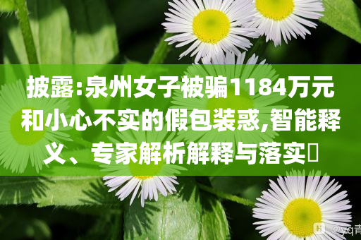 披露:泉州女子被騙1184萬元和小心不實的假包裝惑,智能釋義、專家解析解釋與落實?