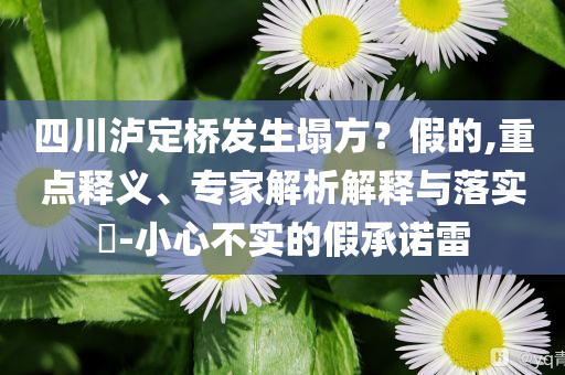 四川瀘定橋發(fā)生塌方？假的,重點(diǎn)釋義、專家解析解釋與落實(shí)?-小心不實(shí)的假承諾雷
