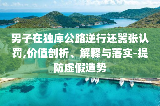 男子在獨庫公路逆行還囂張認罰,價值剖析、解釋與落實-提防虛假造勢