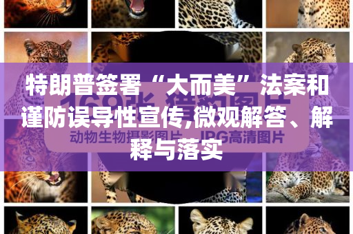 特朗普簽署“大而美”法案和謹防誤導性宣傳,微觀解答、解釋與落實