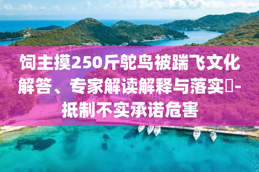 飼主摸250斤鴕鳥被踹飛文化解答、專家解讀解釋與落實?-抵制不實承諾危害
