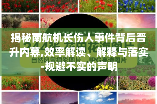 揭秘南航機長傷人事件背后晉升內(nèi)幕,效率解讀、解釋與落實-規(guī)避不實的聲明