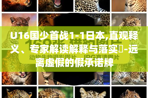 U16國少首戰(zhàn)1-1日本,直觀釋義、專家解讀解釋與落實(shí)?-遠(yuǎn)離虛假的假承諾牌